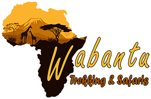 Wabantu Trekking & Safaris